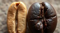 coffee bean varieties comparison