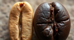coffee bean varieties comparison