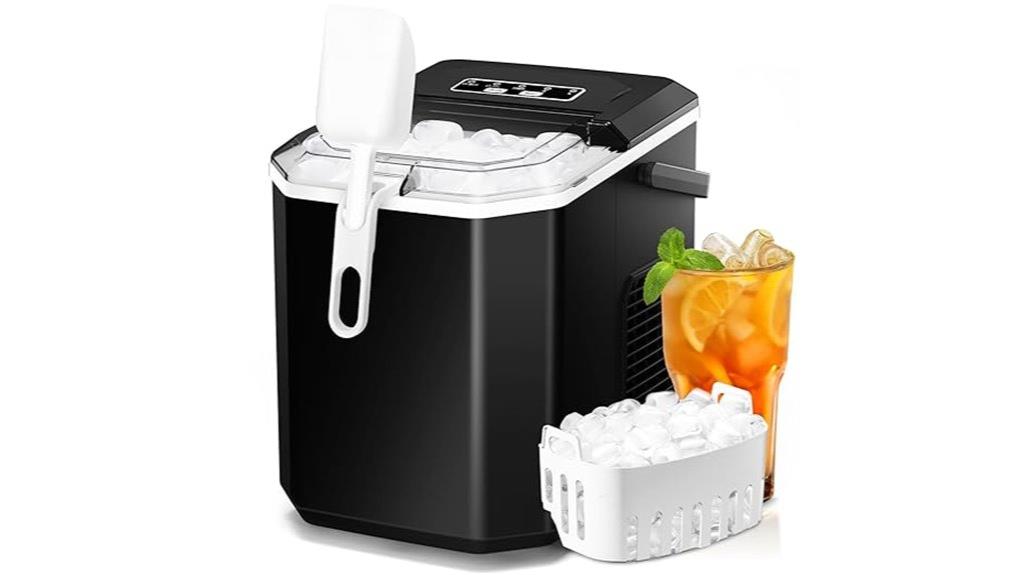 self cleaning ice maker