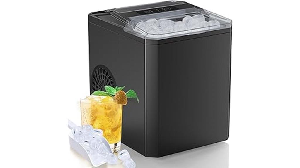 self cleaning ice maker