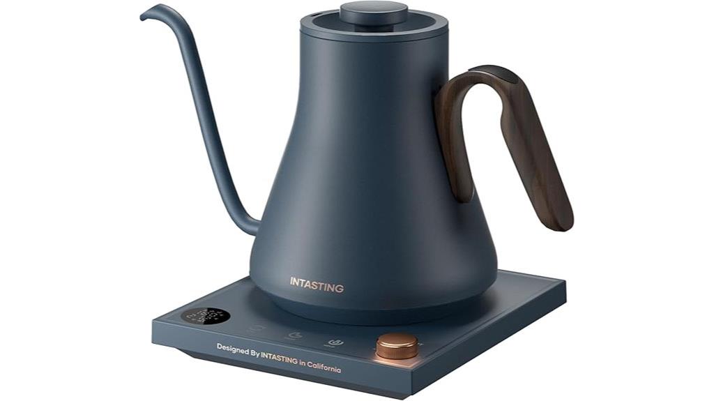 temperature controlled electric kettle