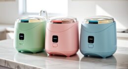 small kitchen friendly ice cream makers
