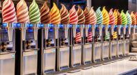 top commercial soft serve machines