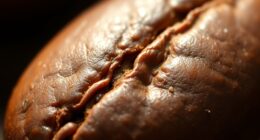grading standards for defects
