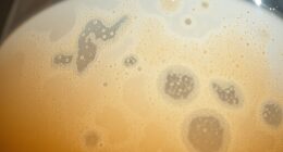 yeast impact on fermentation
