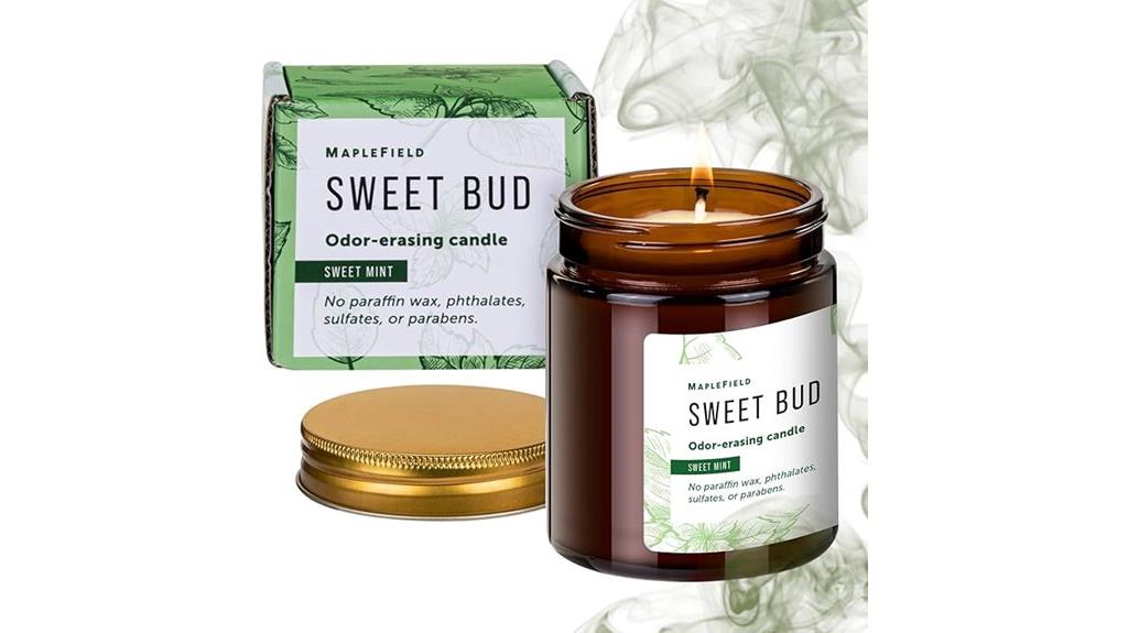 candle for odor elimination