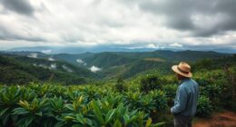 coffee industry climate impacts