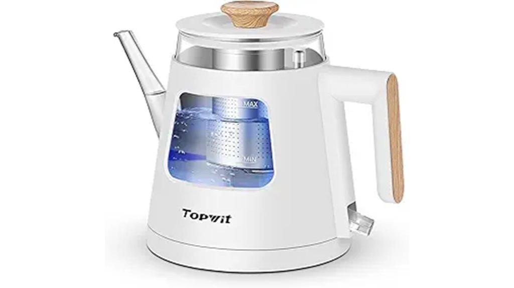 electric kettle with infuser