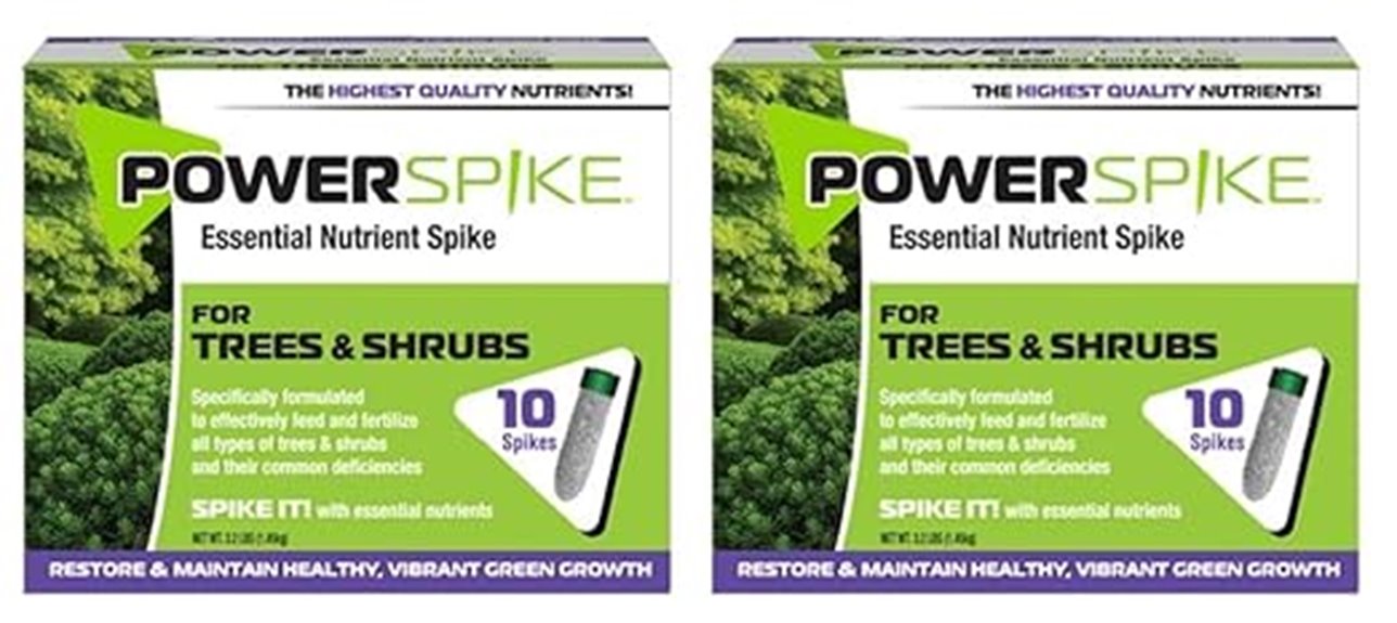 fertilizer spike for evergreens