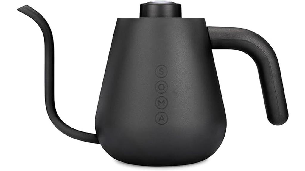 stainless steel gooseneck kettle