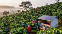 farm practices fair trade