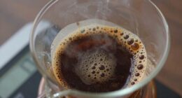 incorrect brewing ratio