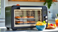 Summer BBQs Made Easy with the Ninja Foodi XL Pro Air Oven