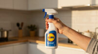 Lidl Ruckruf Noroviren