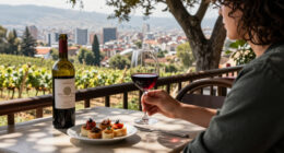 Dispute Over Santiago's Role In Chilean Wine On National Wine Day