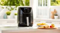 Ninja Air Fryer XL: The Ultimate Summer Crispy Snack Companion