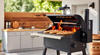 Ninja Outdoor Woodfire Pro XL Grill & Smoker: Your Summer BBQ Companion