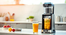 Summer Care Guide for Ninja SLUSHi XL Frozen Drink Maker